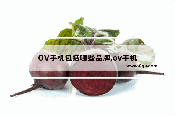 OV手机包括哪些品牌,ov手机