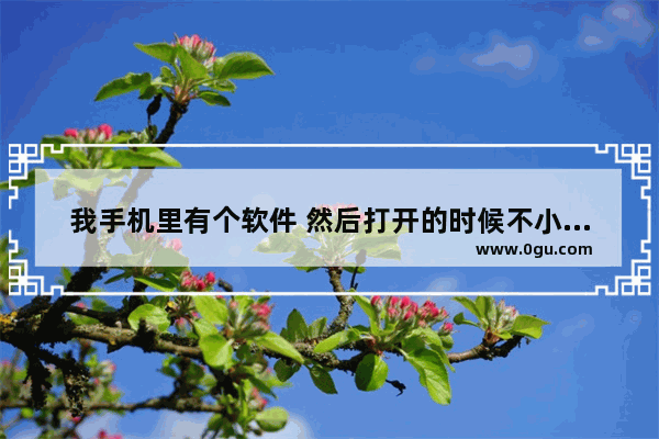 我手机里有个软件 然后打开的时候不小心弄到了始终打开 怎么改为允许本次