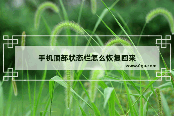 手机顶部状态栏怎么恢复回来