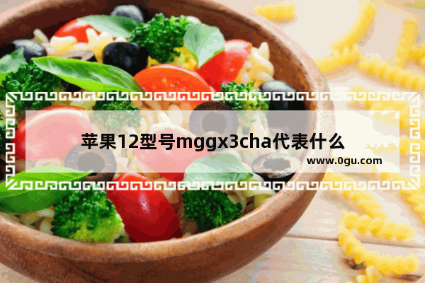 苹果12型号mggx3cha代表什么