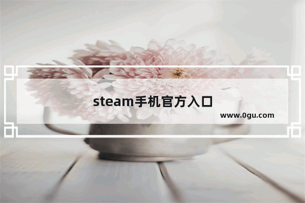 steam手机官方入口