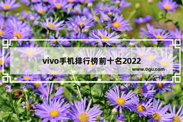 vivo手机排行榜前十名2022