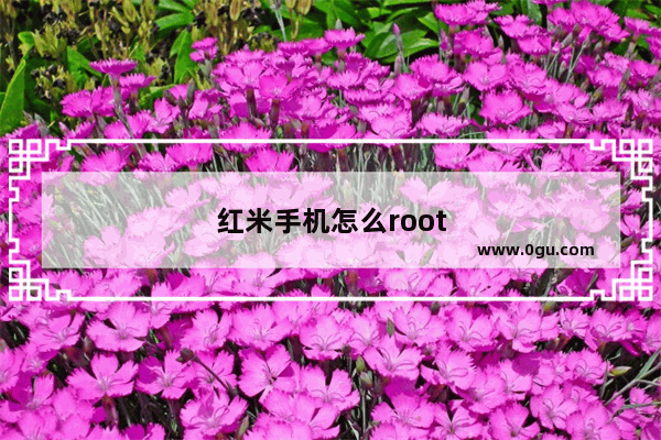 红米手机怎么root