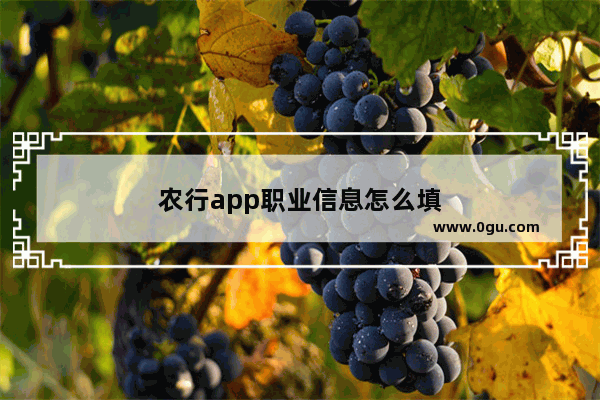 农行app职业信息怎么填