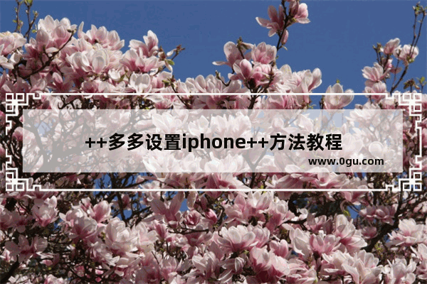 ++多多设置iphone++方法教程