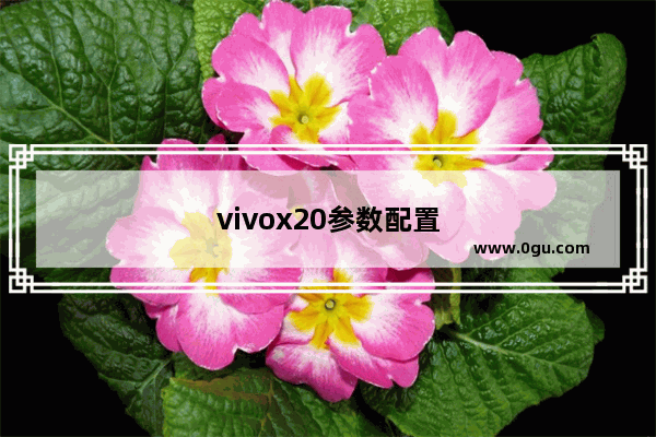 vivox20参数配置