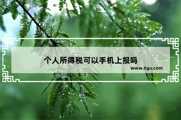 个人所得税可以手机上报吗