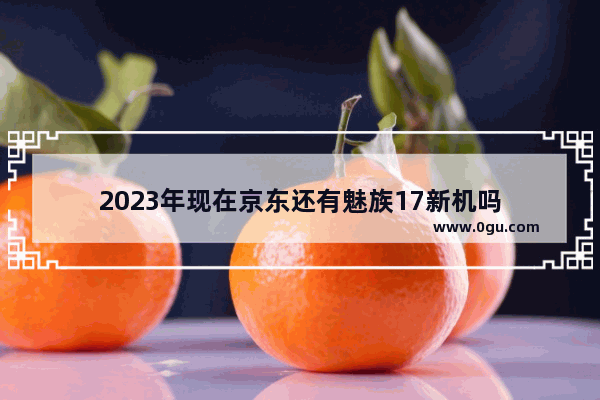 2023年现在京东还有魅族17新机吗