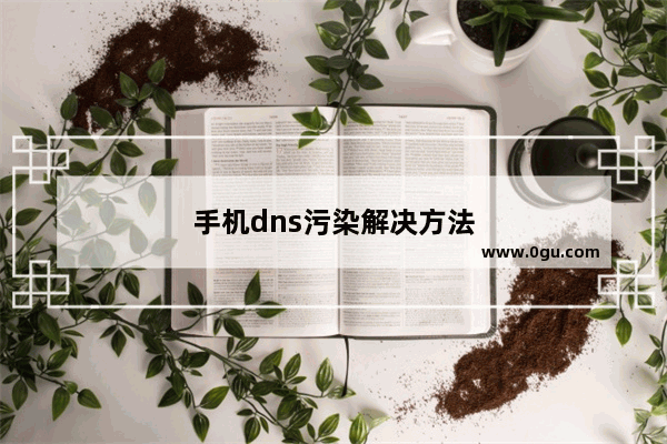 手机dns污染解决方法