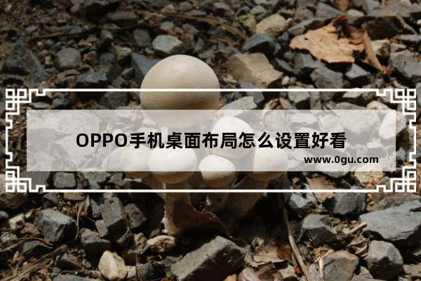 OPPO手机桌面布局怎么设置好看