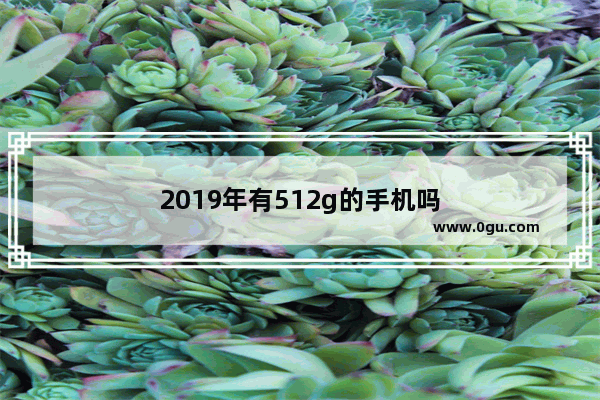 2019年有512g的手机吗