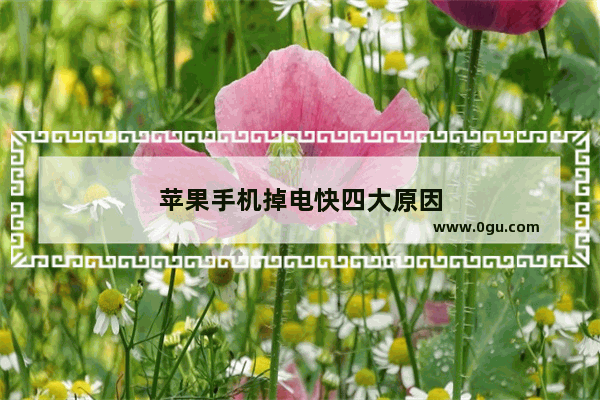 苹果手机掉电快四大原因