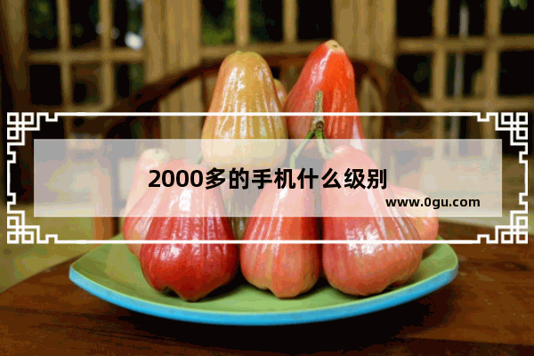 2000多的手机什么级别