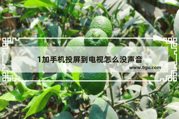 1加手机投屏到电视怎么没声音