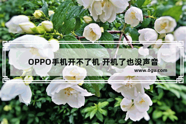 OPPO手机开不了机 开机了也没声音