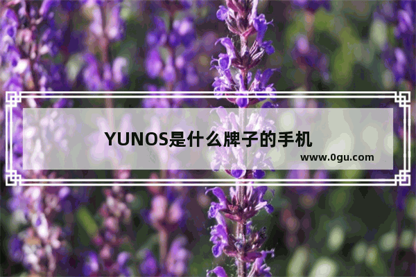 YUNOS是什么牌子的手机