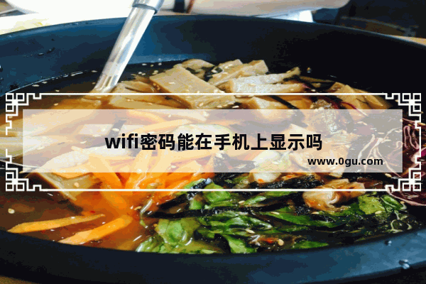 wifi密码能在手机上显示吗