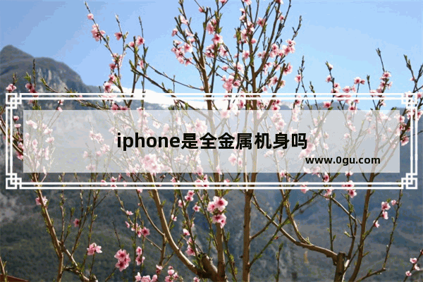 iphone是全金属机身吗