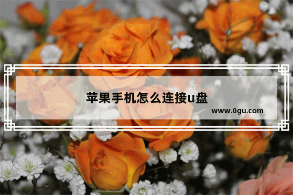 苹果手机怎么连接u盘