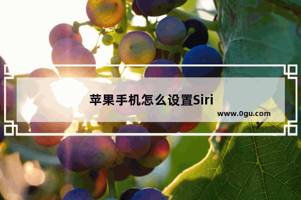 苹果手机怎么设置Siri