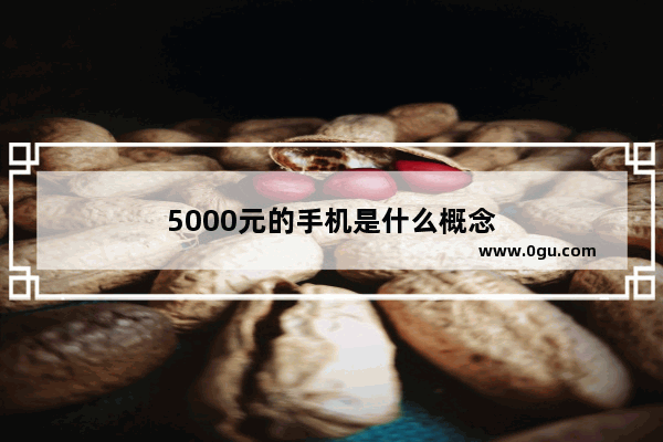 5000元的手机是什么概念