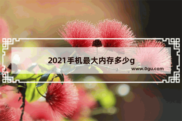 2021手机最大内存多少g