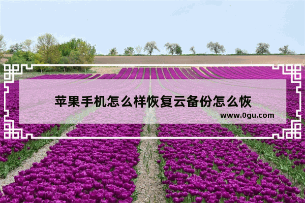 苹果手机怎么样恢复云备份怎么恢