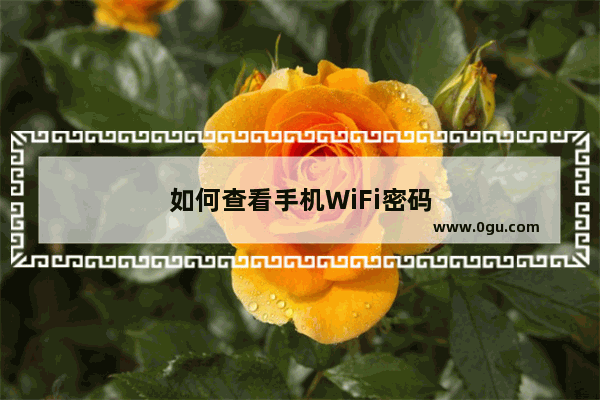 如何查看手机WiFi密码