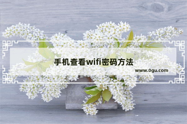 手机查看wifi密码方法