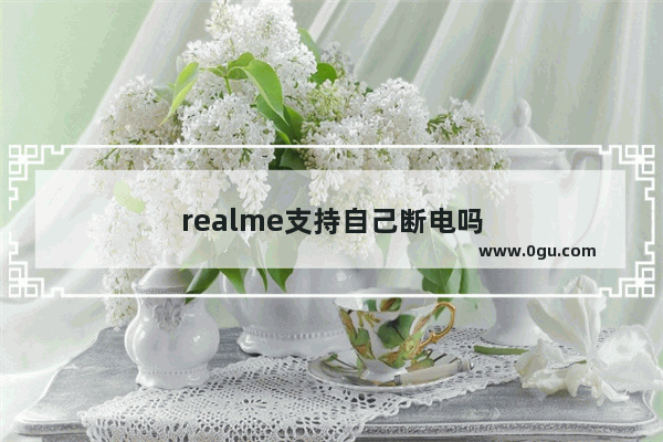 realme支持自己断电吗