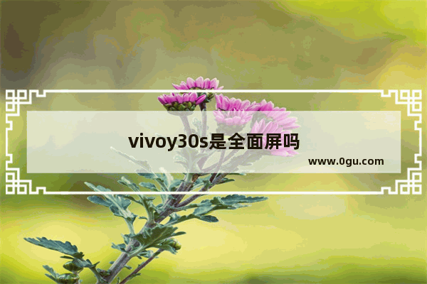 vivoy30s是全面屏吗