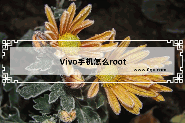 Vivo手机怎么root