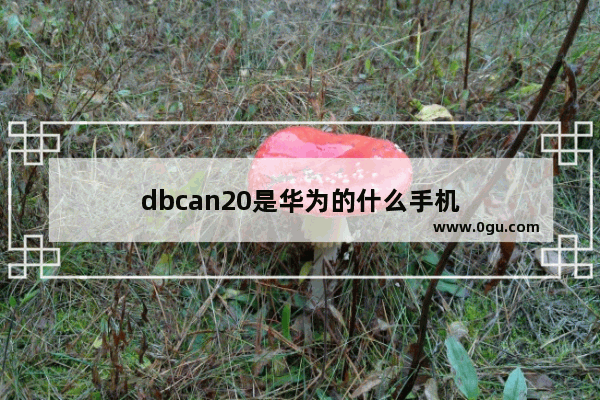 dbcan20是华为的什么手机