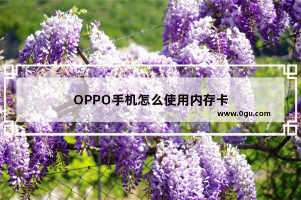 OPPO手机怎么使用内存卡