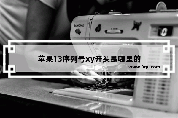 苹果13序列号xy开头是哪里的