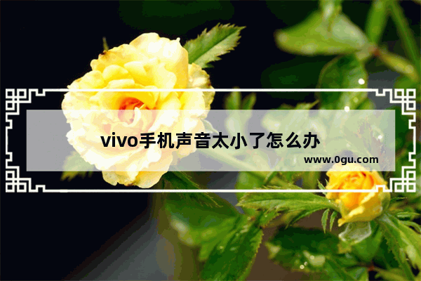 vivo手机声音太小了怎么办