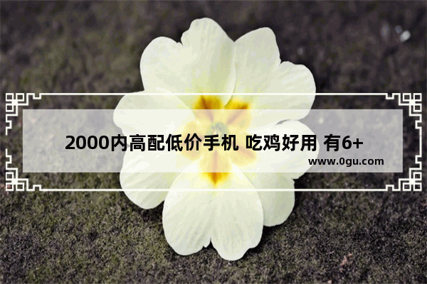 2000内高配低价手机 吃鸡好用 有6+128的没