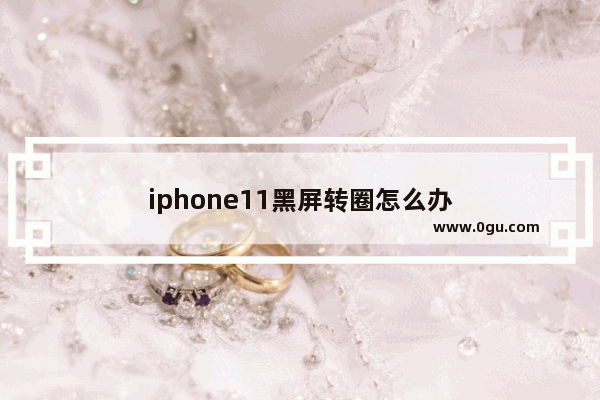 iphone11黑屏转圈怎么办