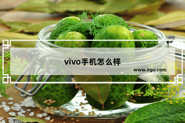 vivo手机怎么样