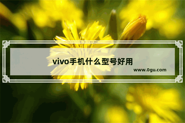 vivo手机什么型号好用