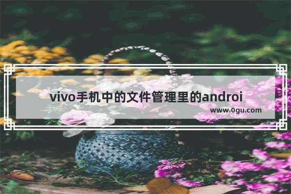 vivo手机中的文件管理里的android可以删除吗