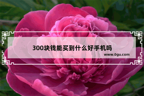 300块钱能买到什么好手机吗