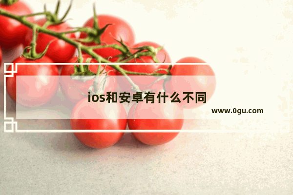 ios和安卓有什么不同