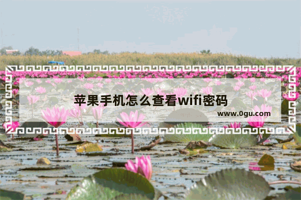 苹果手机怎么查看wifi密码