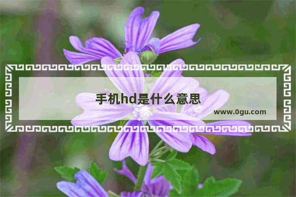 手机hd是什么意思