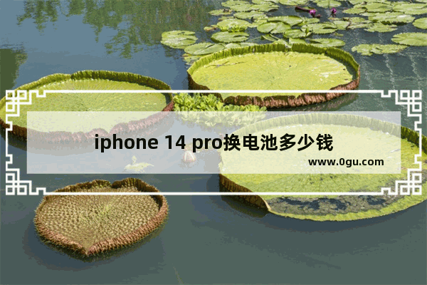 iphone 14 pro换电池多少钱