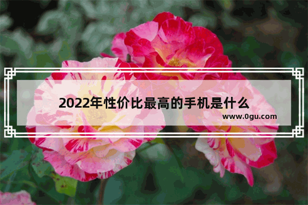 2022年性价比最高的手机是什么