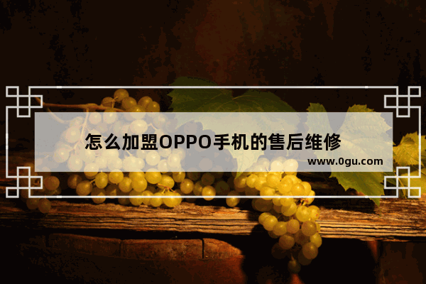 怎么加盟OPPO手机的售后维修