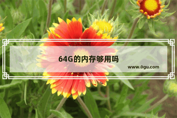 64G的内存够用吗