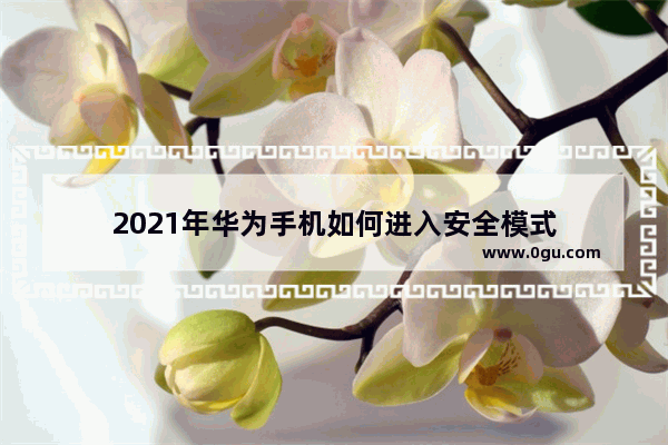 2021年华为手机如何进入安全模式